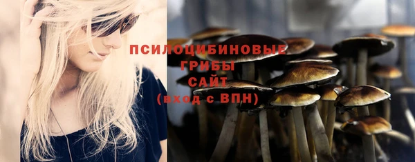 дмт Верея