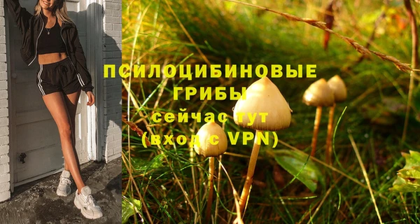 дмт Верея