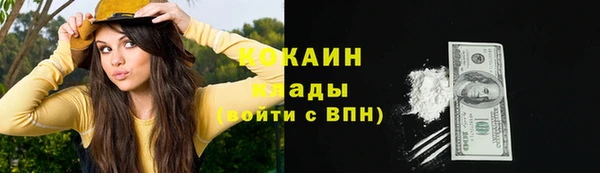 дмт Верея
