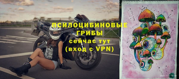 спайс Вяземский