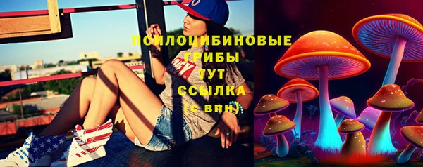 первитин Бородино