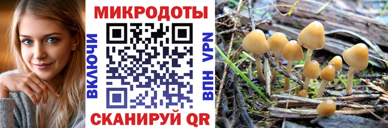 Псилоцибиновые грибы Cubensis Егорьевск
